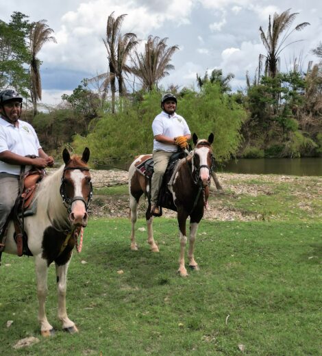 HORSEBACK RIDING AT HAPPY ACRES FARMS