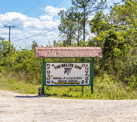 Belize Zoo